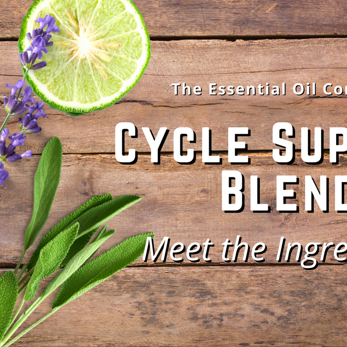 Cycle Support Blend: Meet the Ingredients