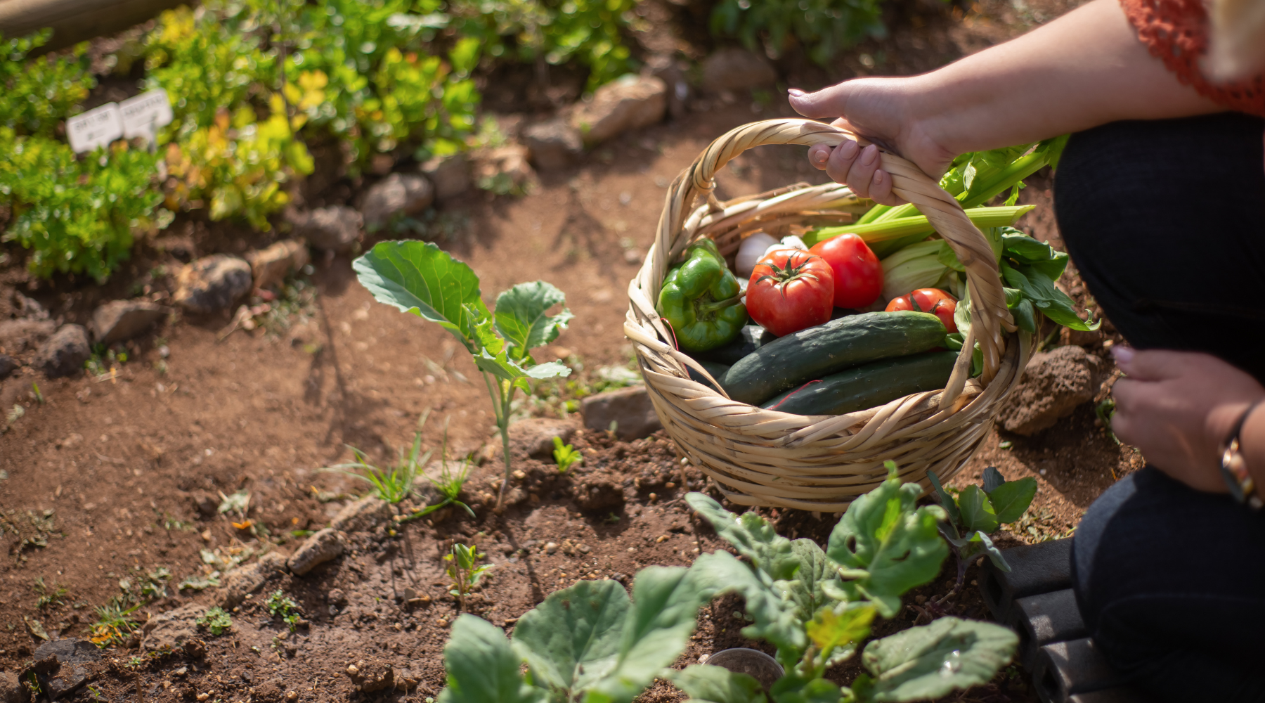 Gardening with Essential Oils