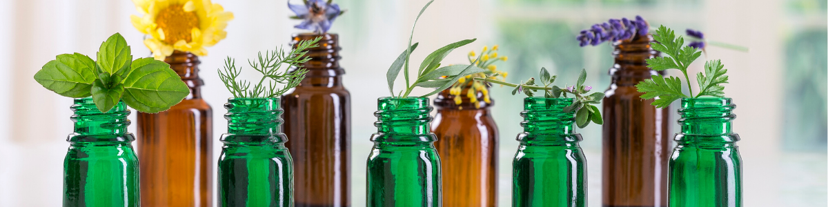 Top 10 Essential Oils — The Essential Oil Company