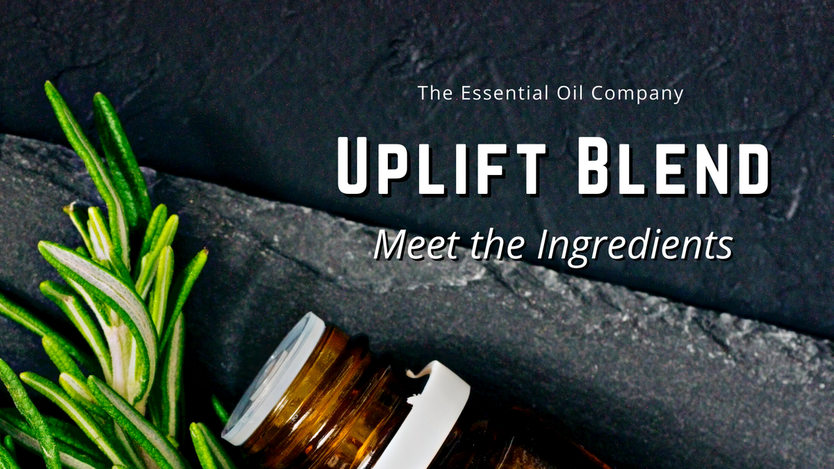 Uplift Blend: Meet the Ingredients — The Essential Oil Company