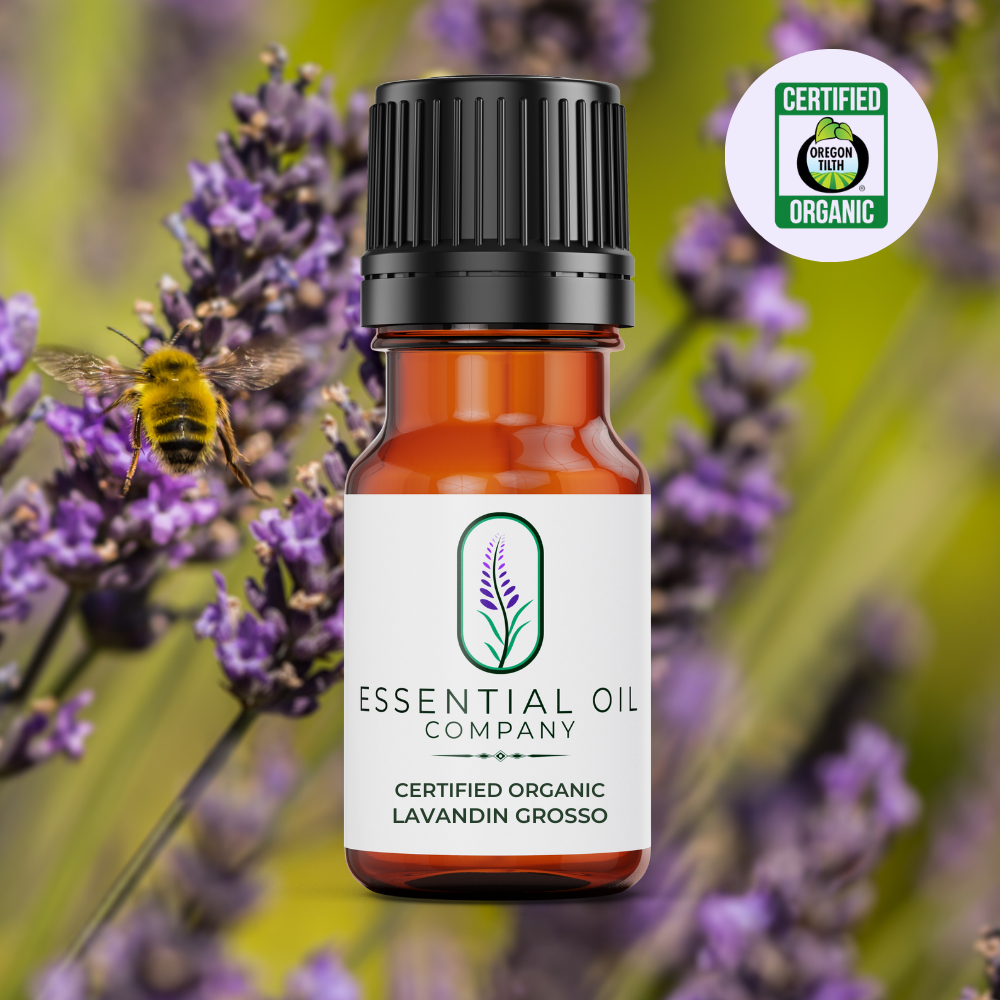 Certified Organic Lavandin Grosso Essential Oil