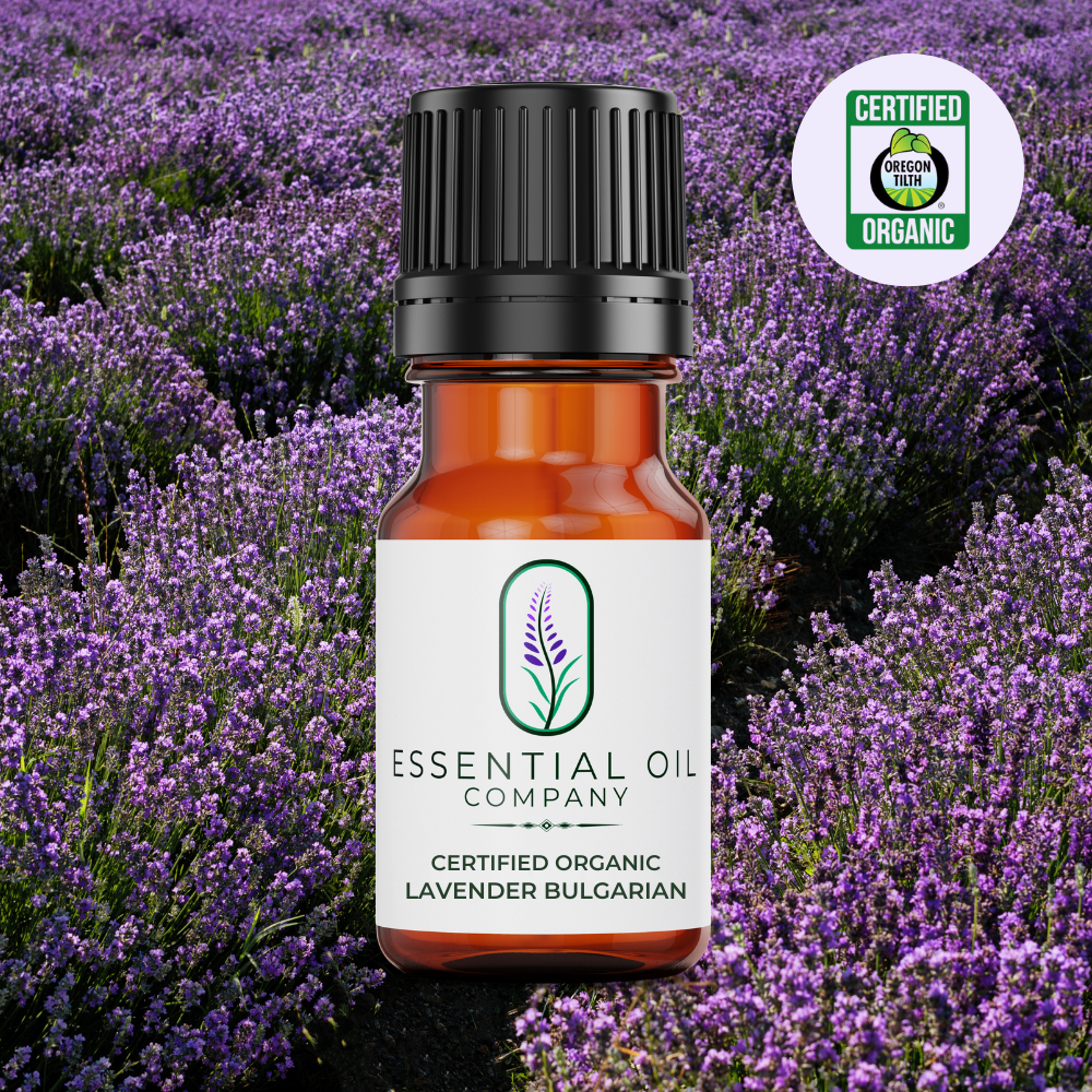 Certified Organic Lavender Bulgarian Essential Oil