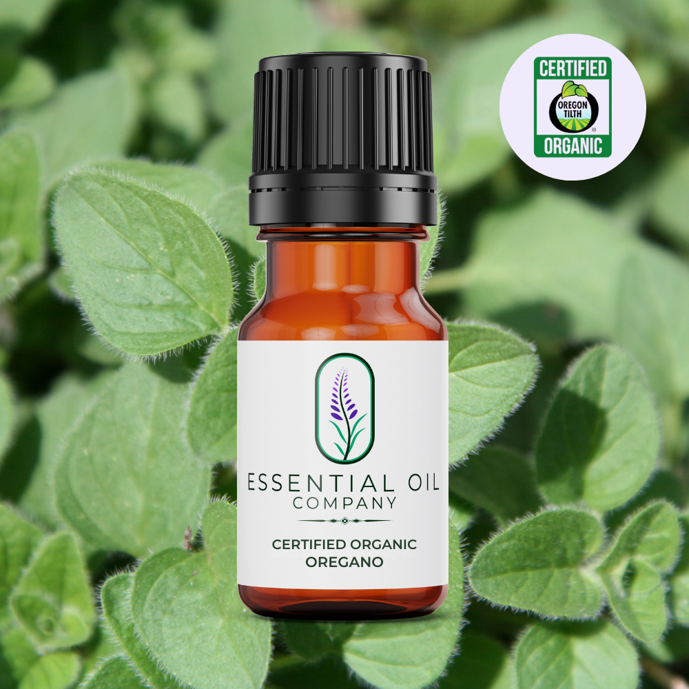 Certified Organic Oregano Essential Oil