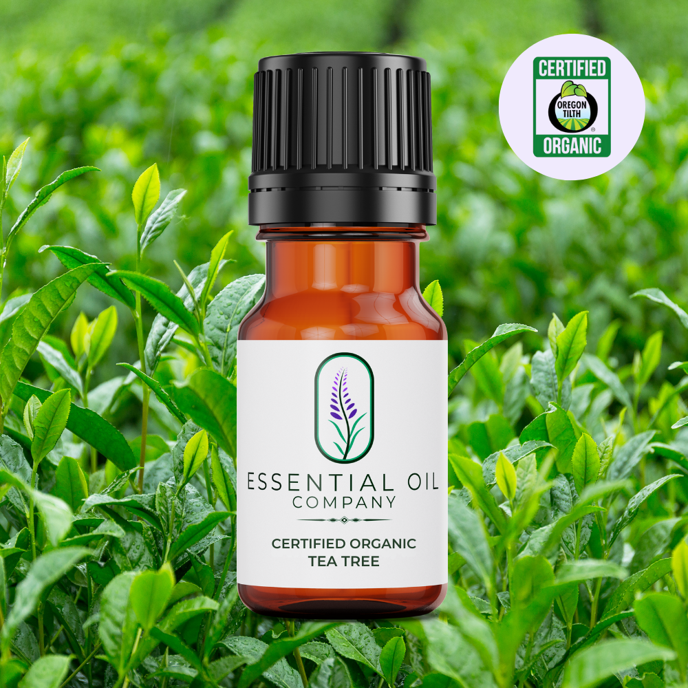 Certified Organic Tea Tree Essential Oil