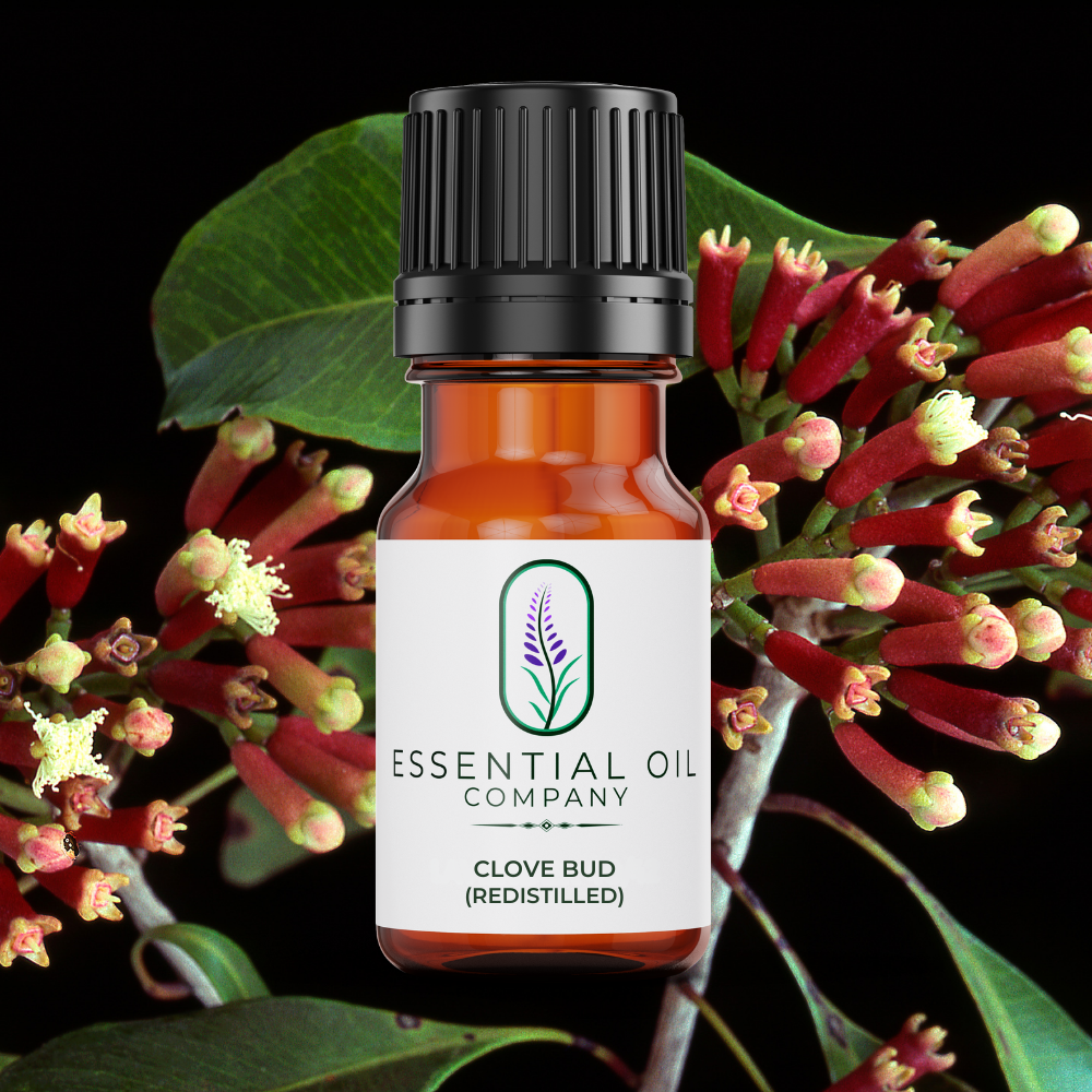 Clove Bud Redistilled Essential Oil