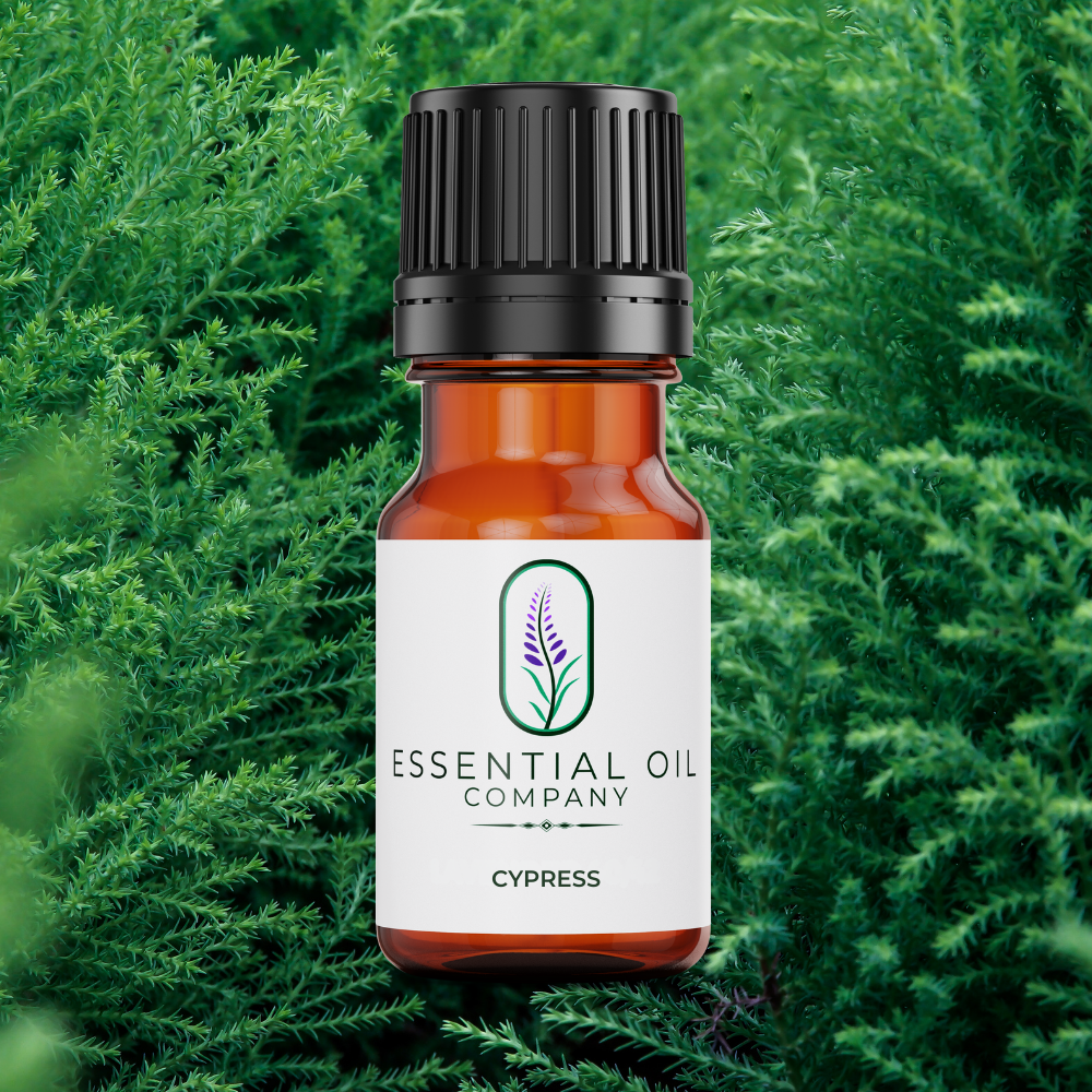 Cypress Essential Oil