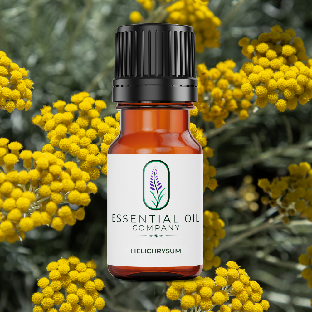 Helichrysum Essential Oil