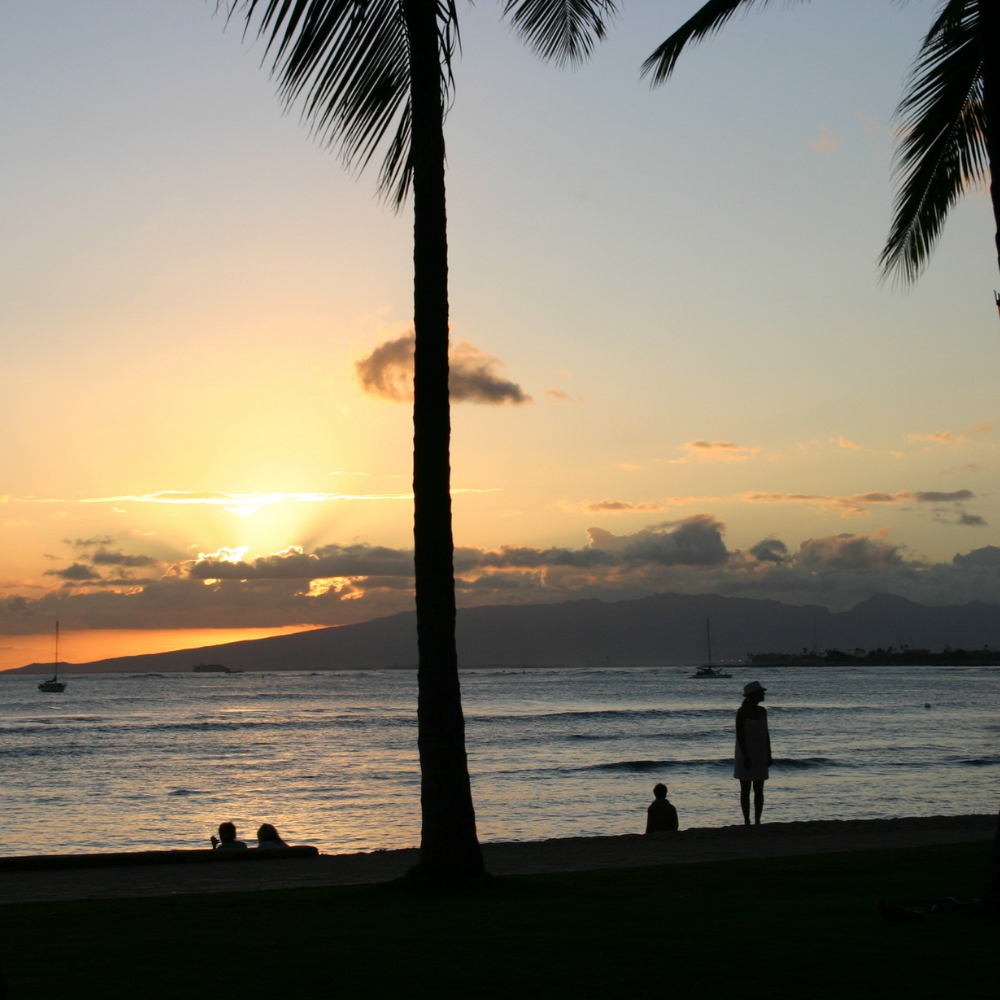 Honolulu Sunrise Type Fragrance Oil