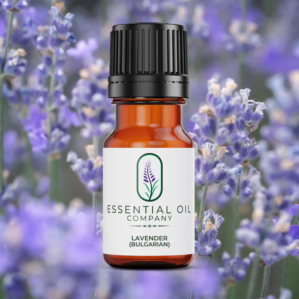 Lavender Bulgarian Essential Oil