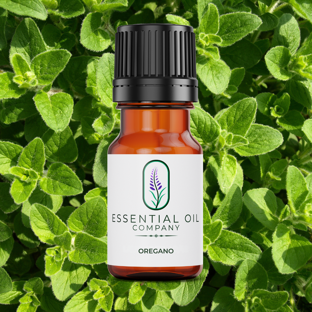 Oregano Essential Oil