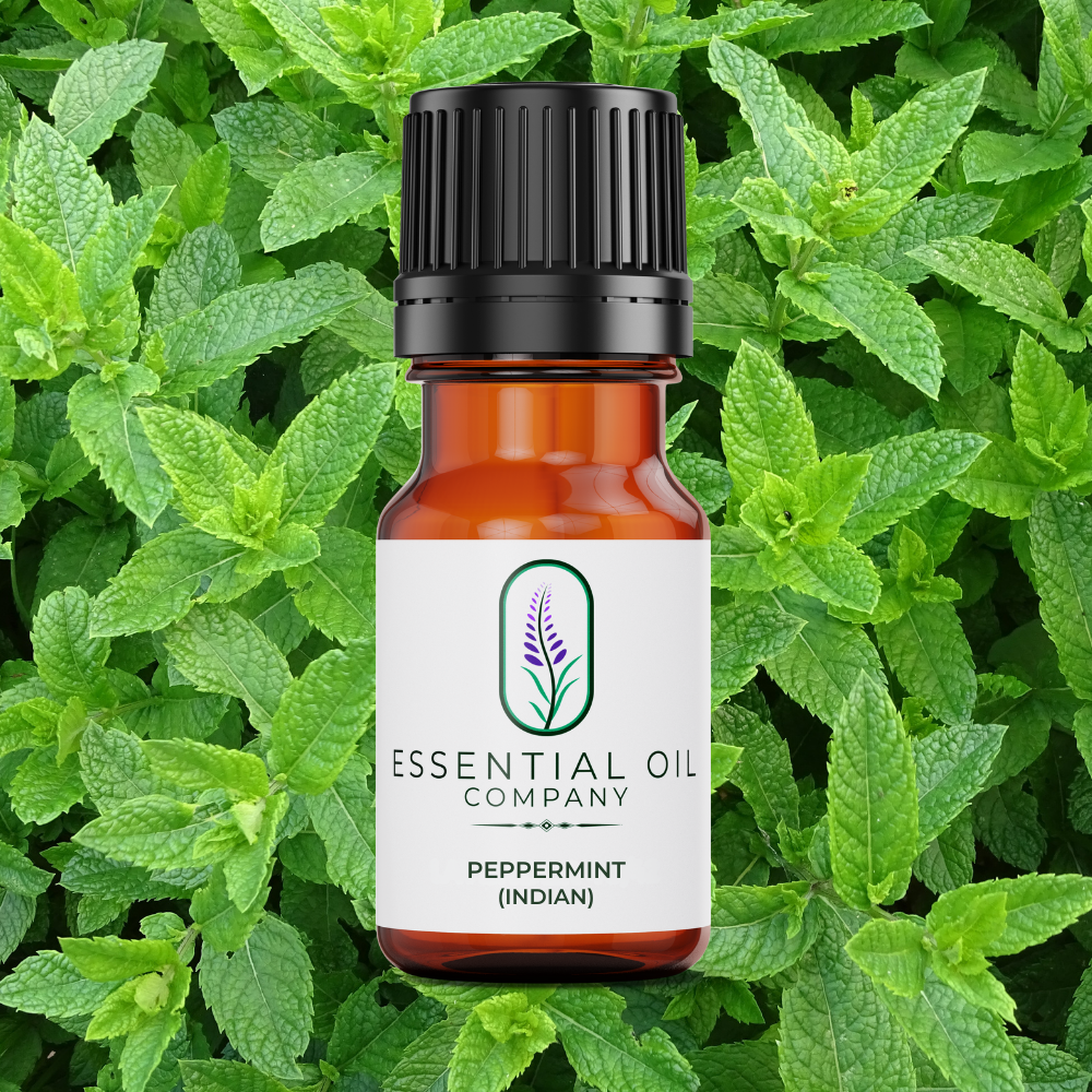 Peppermint (India) Essential Oil