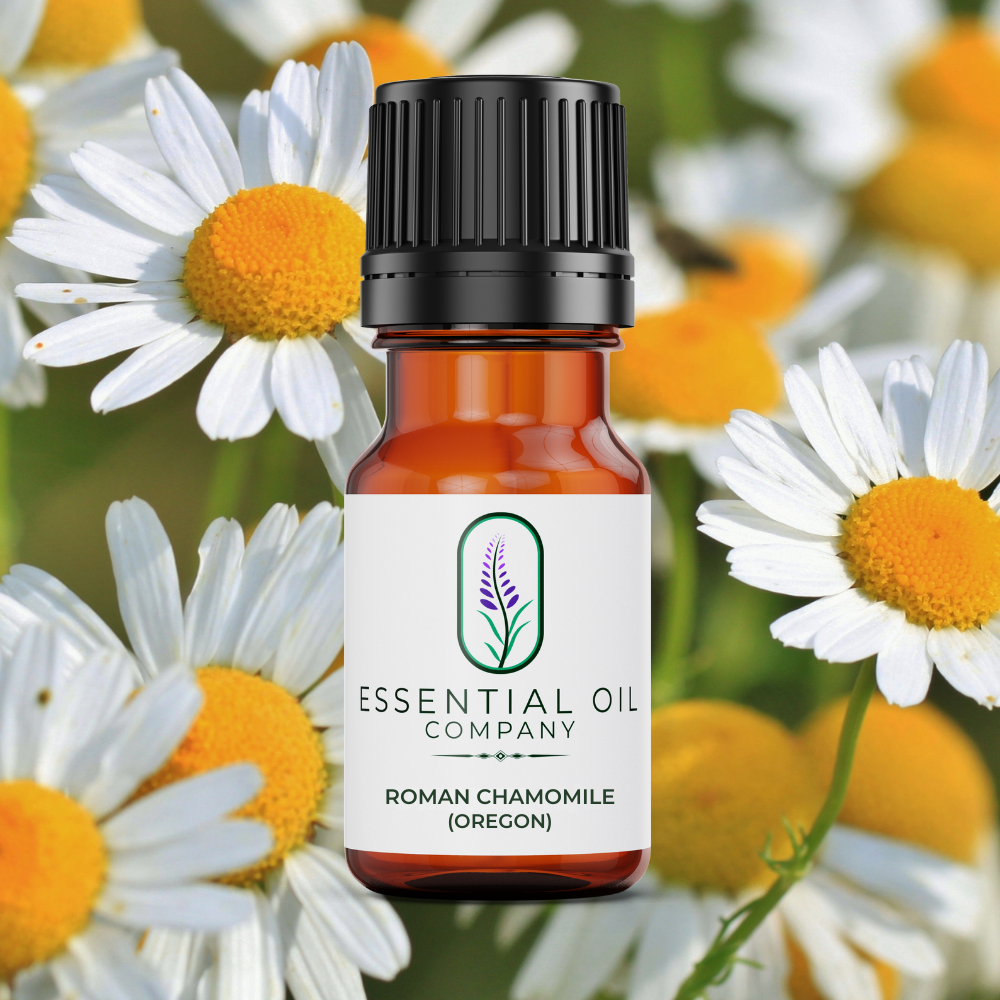 Roman Chamomile Essential Oil - Oregon