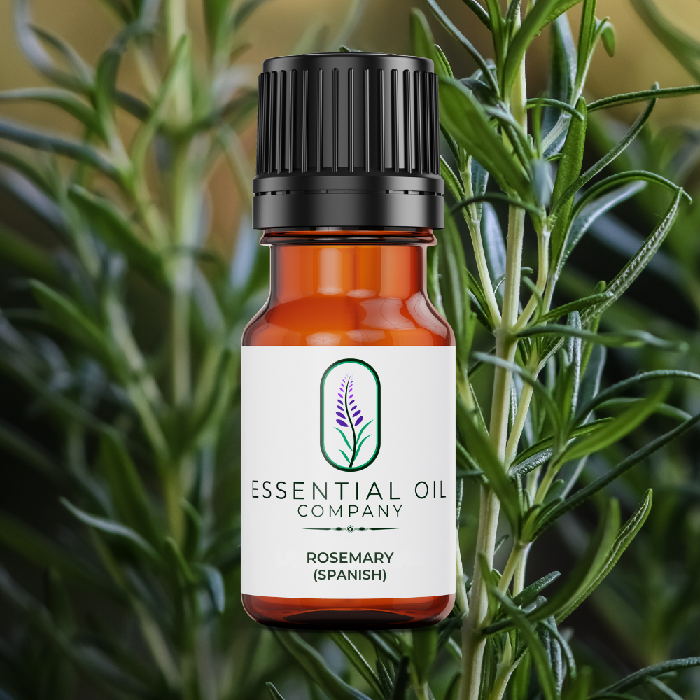 Rosemary Spanish Essential Oil