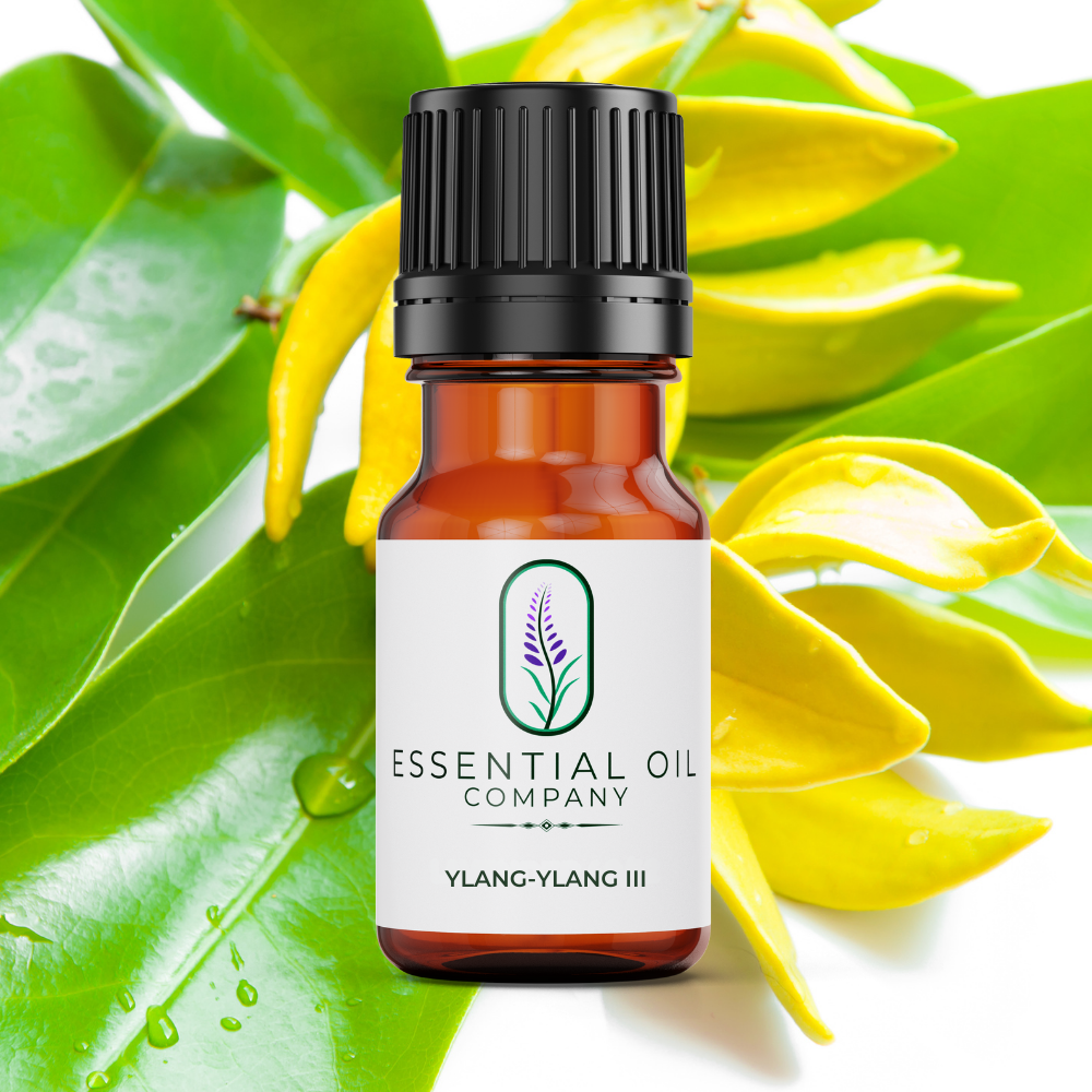 Ylang Ylang III Essential Oil